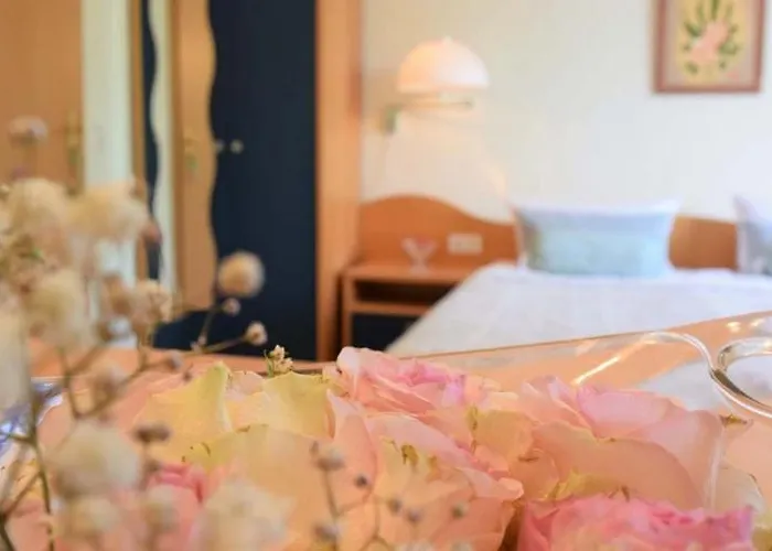 Πανσιόν Meier